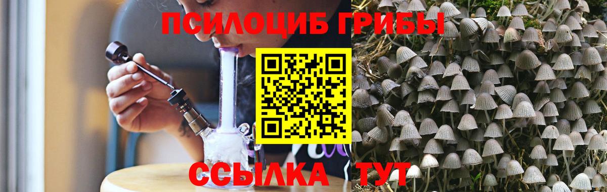 Соликамск  Галлюциногенные грибы MAGIC MUSHROOMS  Вход с VPN  магазин продажи   Галлюциногенные грибы прущие грибы 